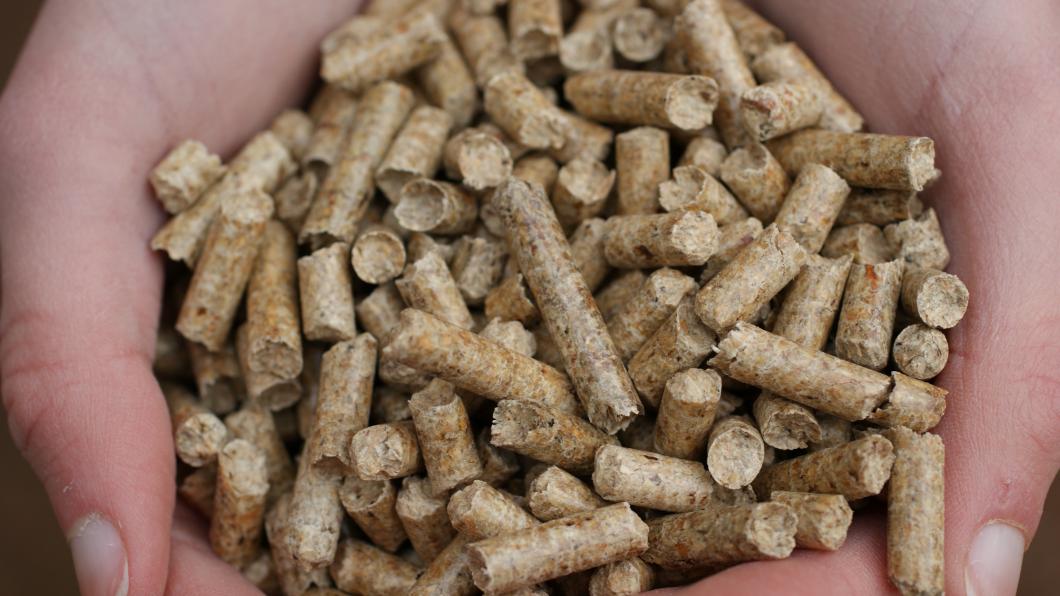 Hoe duurzaam zijn deze pellets? (Foto: Andrew Writer) Houtpellets